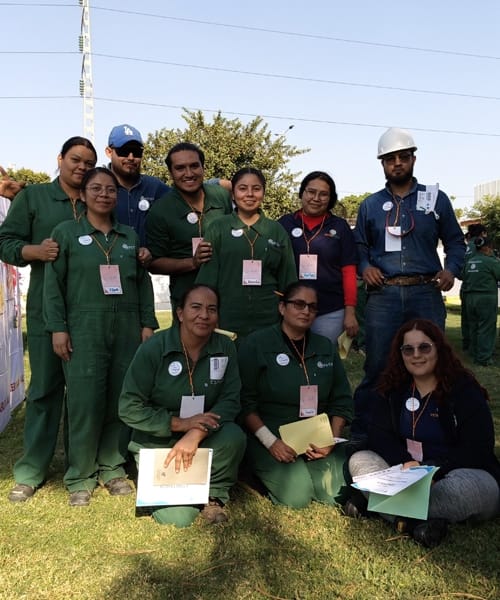 Sistemas de protección y dispositivos de seguridad